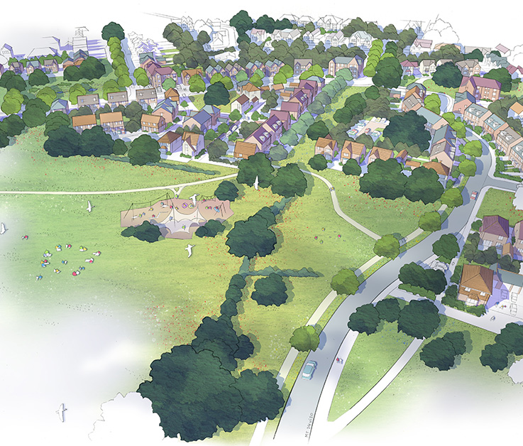 Oak Green Illustration